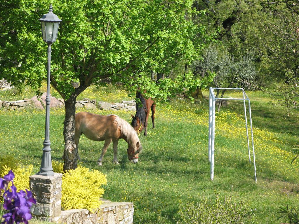 La Ghiandaia Casa Vacanza Lucolena in Chianti Ngoại thất bức ảnh