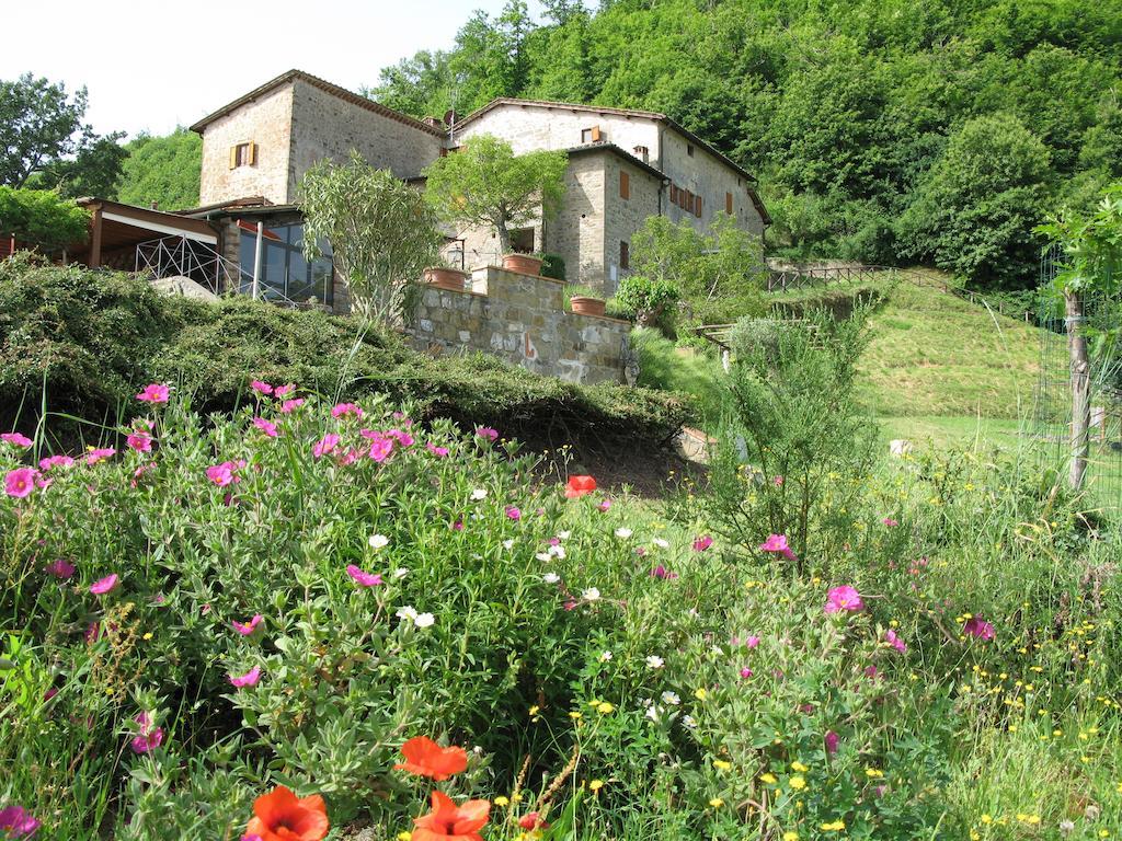 La Ghiandaia Casa Vacanza Lucolena in Chianti Ngoại thất bức ảnh