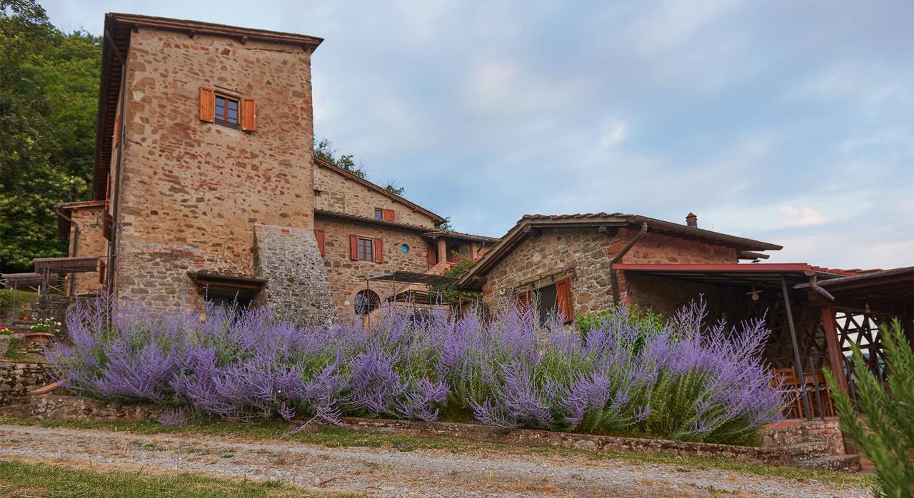 La Ghiandaia Casa Vacanza Lucolena in Chianti Ngoại thất bức ảnh